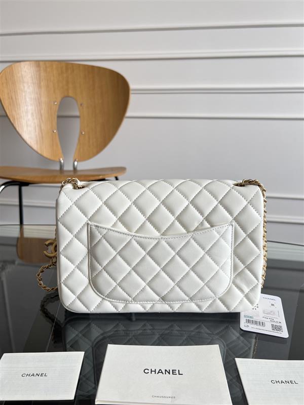 2026131214225583 670